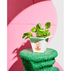 Cache-pot Ramen En Céramique H22cm 7 Cache-pot Ramen En Céramique H22cm -Magasin Général Pour La Maison cache pot ramen en ceramique h22cm 698729 698729 FRN04 WEB 1