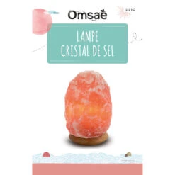 Lampe En Cristal De Sel Pièce De 2 à 3 Kg -Magasin Général Pour La Maison lampe en cristal de sel piece de 2 a 3 kg 643568 643568 FRN02 WEB