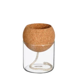 Pot Auto Arrosant En Verre Transparent D10xh14cm