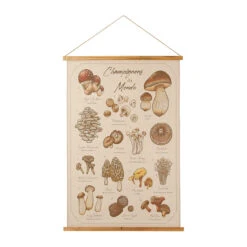 Toile "encyclopédie Champignon" 77x110cm