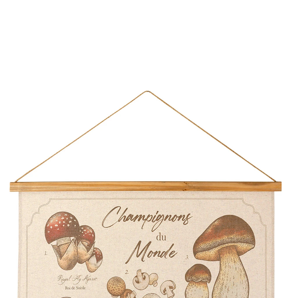 Toile "encyclopédie Champignon" 77x110cm 2 Toile "encyclopédie Champignon" 77x110cm – Image 2
